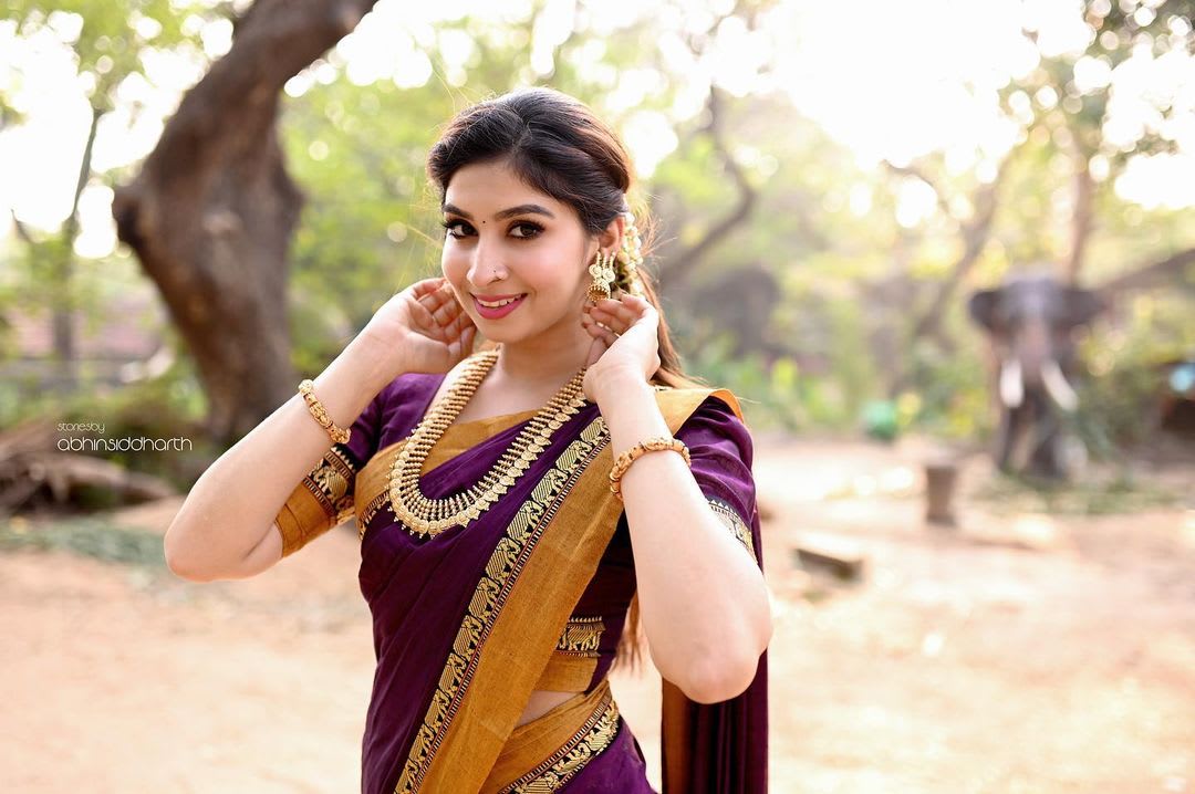 Magenta Single Elephant Narayanpet Pure Handloom Cotton saree with Running blouse piece