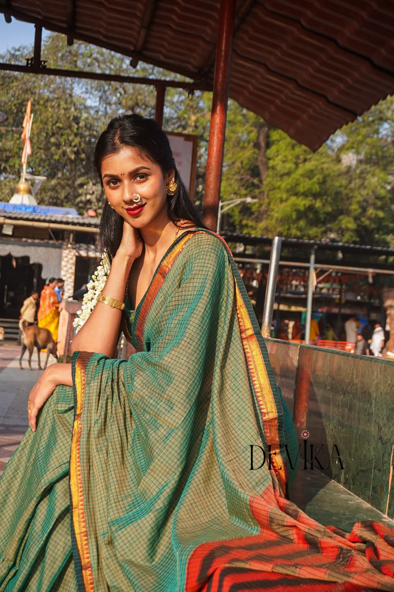 Ashwini Pista Green checked Pattern Narayanpet Pure cotton saree