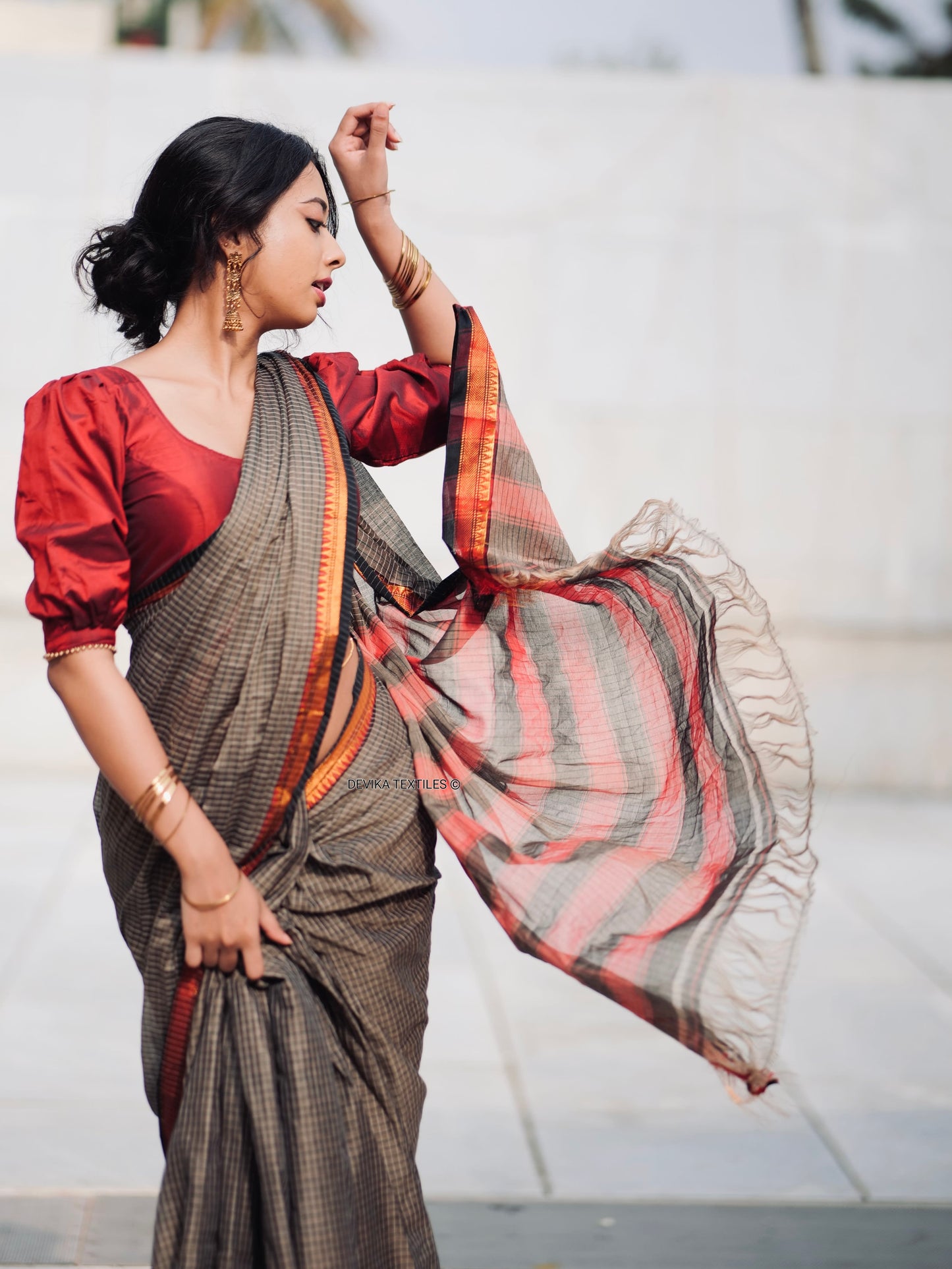 Ashwini checked Pattern Narayanapet Pure Cotton saree with running blouse piece (Same as saree)