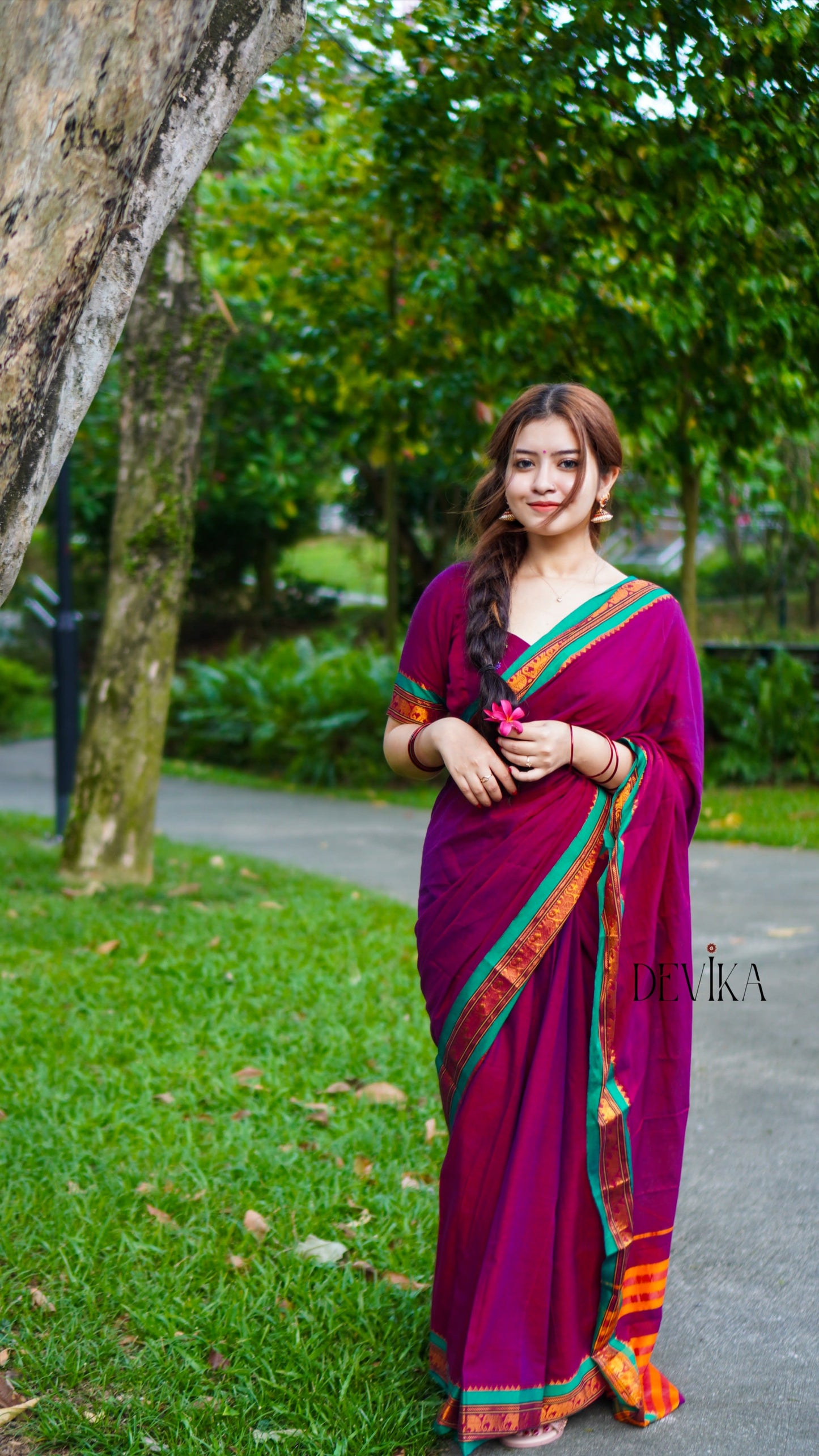 Magenta Elephant Border Narayanpet Pure Cotton Saree